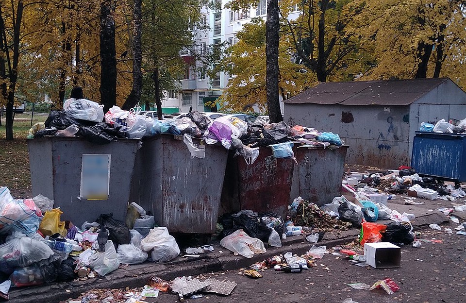 Житель любого региона может обратиться на горячую линию или сайт.