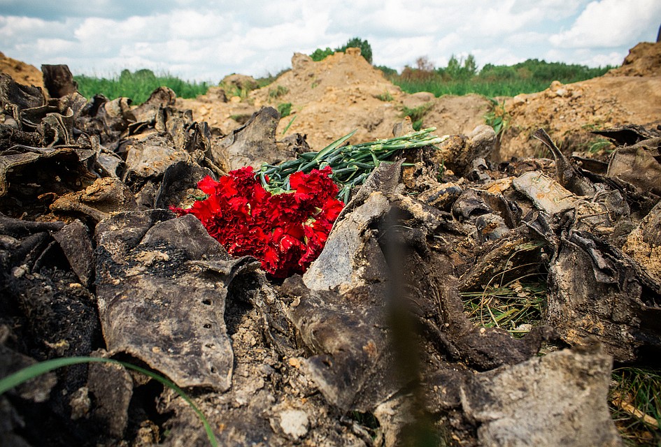 Поисковики подняли останки 86 красноармейцев Фото: пресс-служба правительства Тверской области