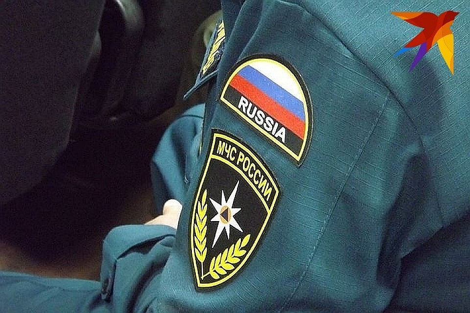 Спасатели тушат лесной пожар под Тверью