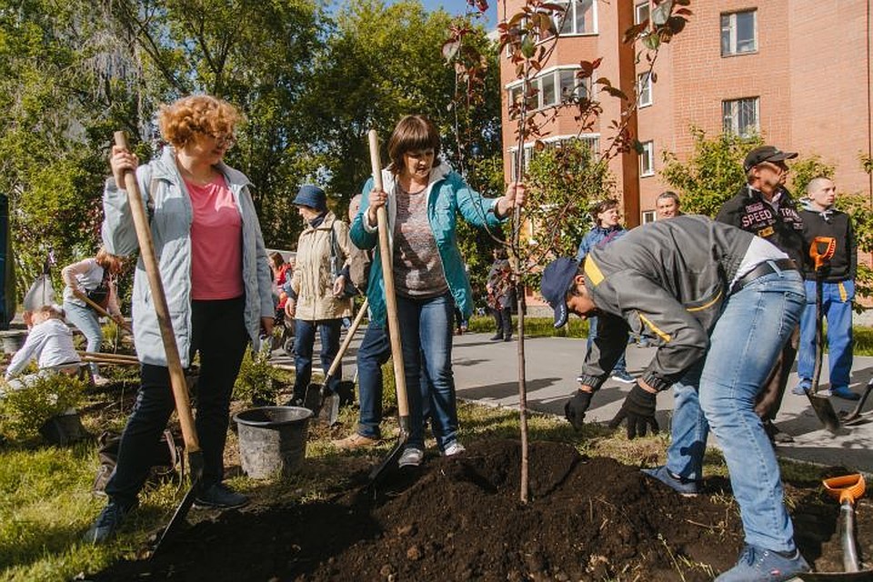 Новую аллею назвали "Первой аллеей строителей". Фото: Уральское объединение строителей