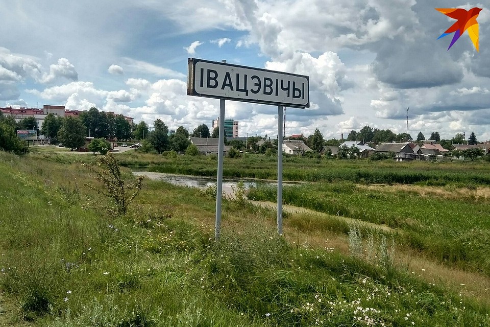 В Ивацевичском районе искали ушедшую в лес за ягодами пенсионерку.