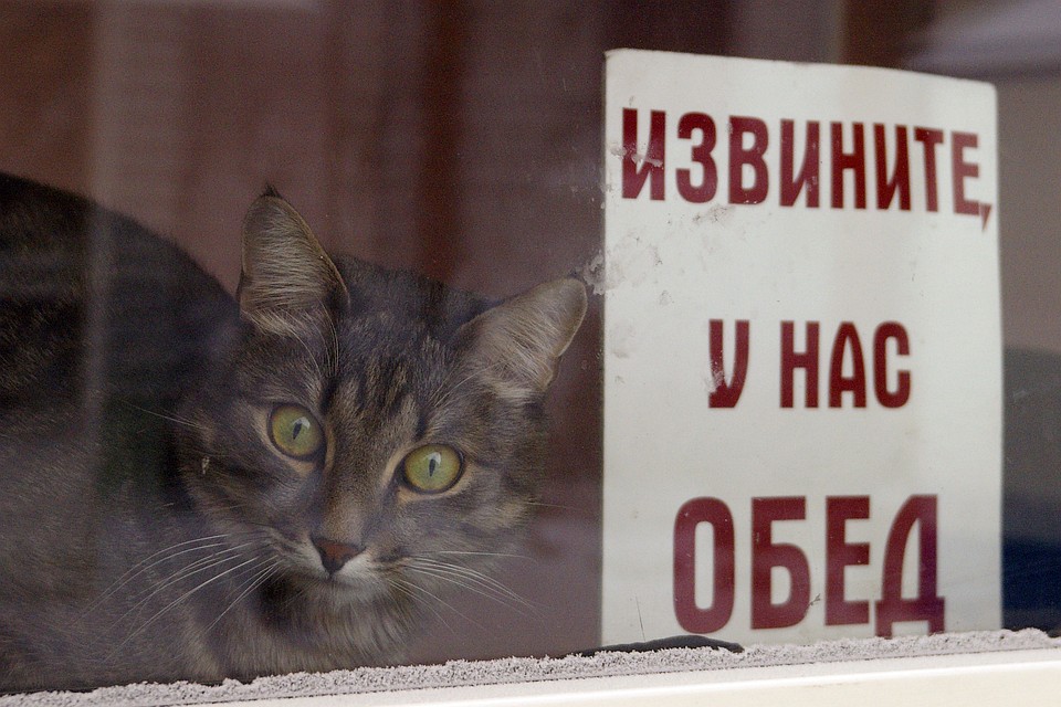Сайт администрации Калининского района отсылает на подозрительный ресурс. Фото: Андрей ГРЕБНЕВ