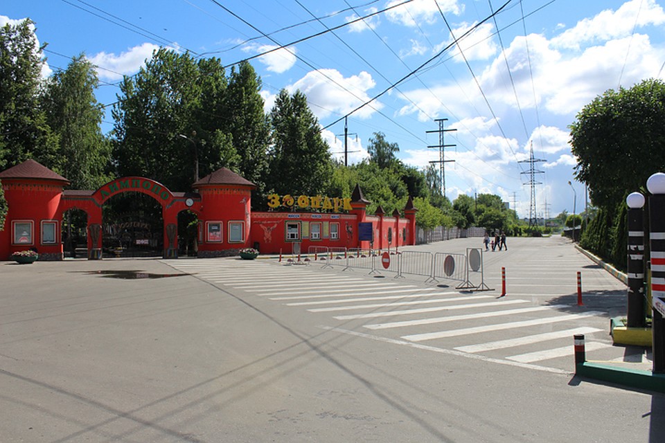 Возле зоопарка «Лимпопо» закрыли парковку. Фото: зоопарк "Лимпопо"