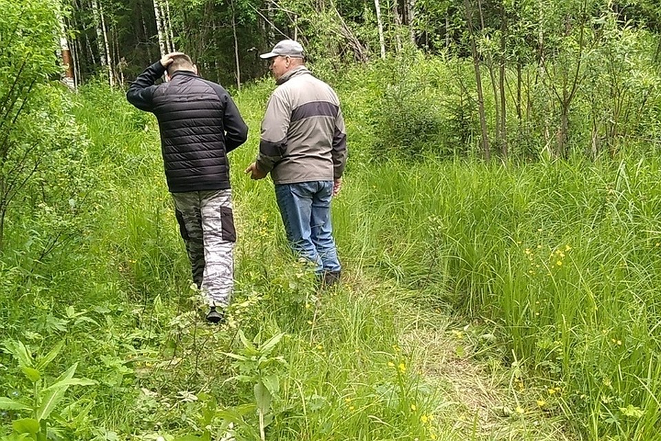 Сотрудник полиции и волонтер ищут потерявшегося рыбака в лесу. Фото: группа Вконтакте Министерство природных ресурсов Пермского края