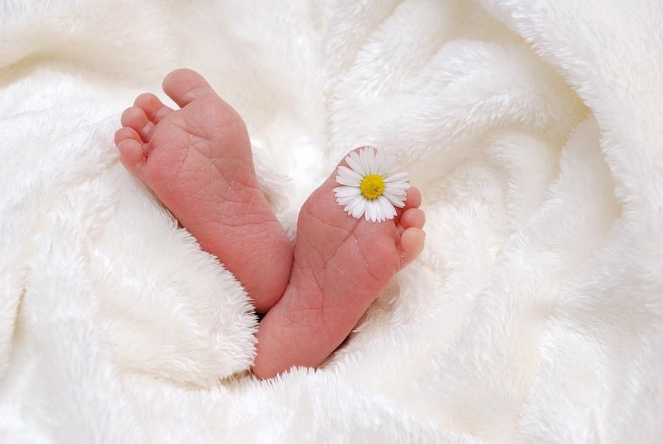 ФОТО: pixabay.com