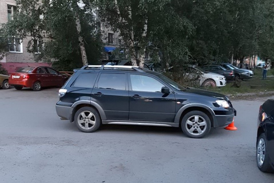 фото: пресс-служба УМВД по Томской области
