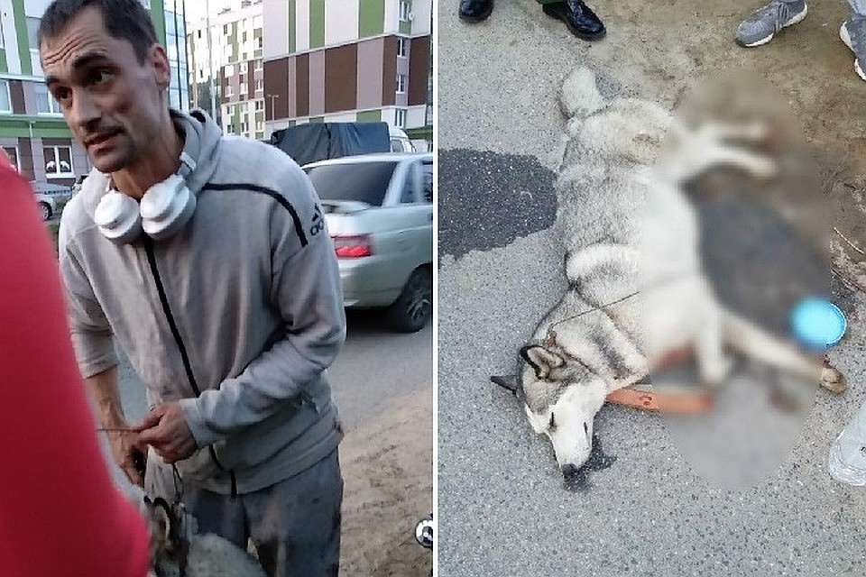 Живодер из Янино пойдет под суд.