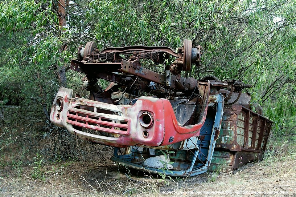 В Чернобыльской зоне нашли опасный радиоактивный объект. Фото: https://www.facebook.com/zapovidnyk2018/