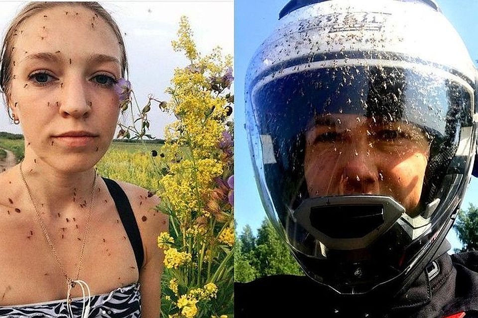 В прошлом году в соцсетях был тренд - фотографироваться с насекомыми. На фото слева - жительница Якутии Анастасия Груздева и ее экстремальный кадр с комарами по всему лицу. А слева - снимок из Новосибирска: Людмила Агадецкая показывает, как мошка атакует Сибирь. Фото: соцсети.