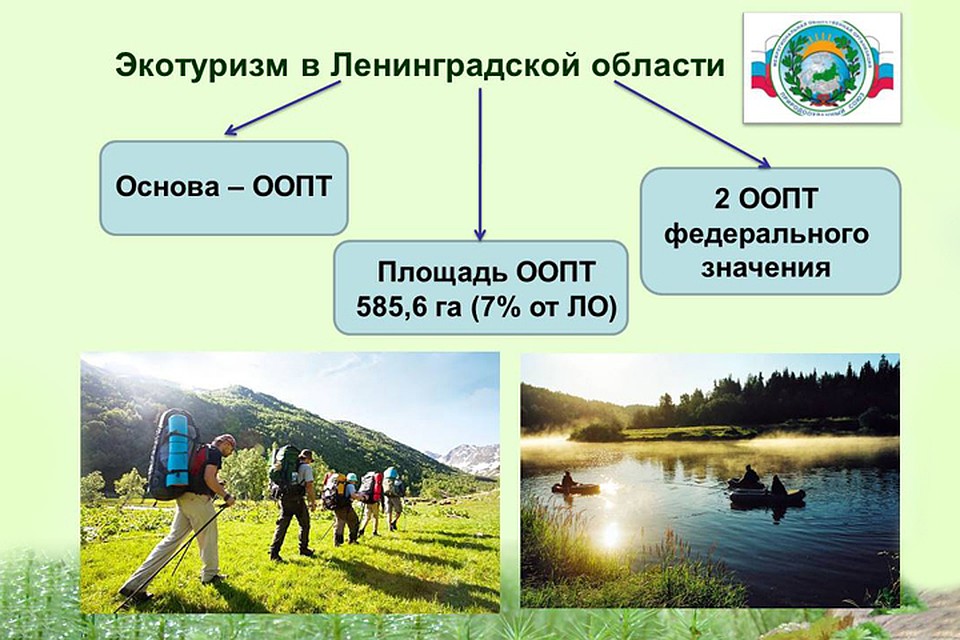 Возможностей для развития экотуризма и сельского туризма в Ленинградской области море.