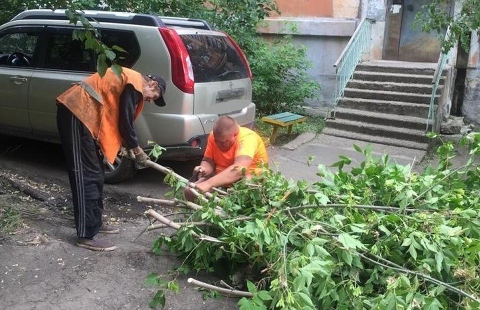 Вместе мужчины убрали ветки за два часа. Фото: "Регион-74".