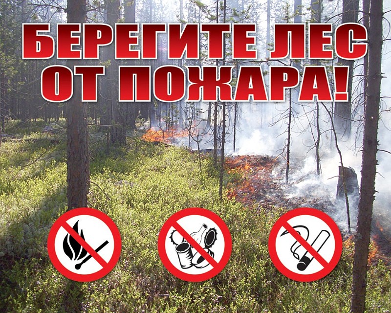 Фото пресс-службы управления лесами Белгородской области.