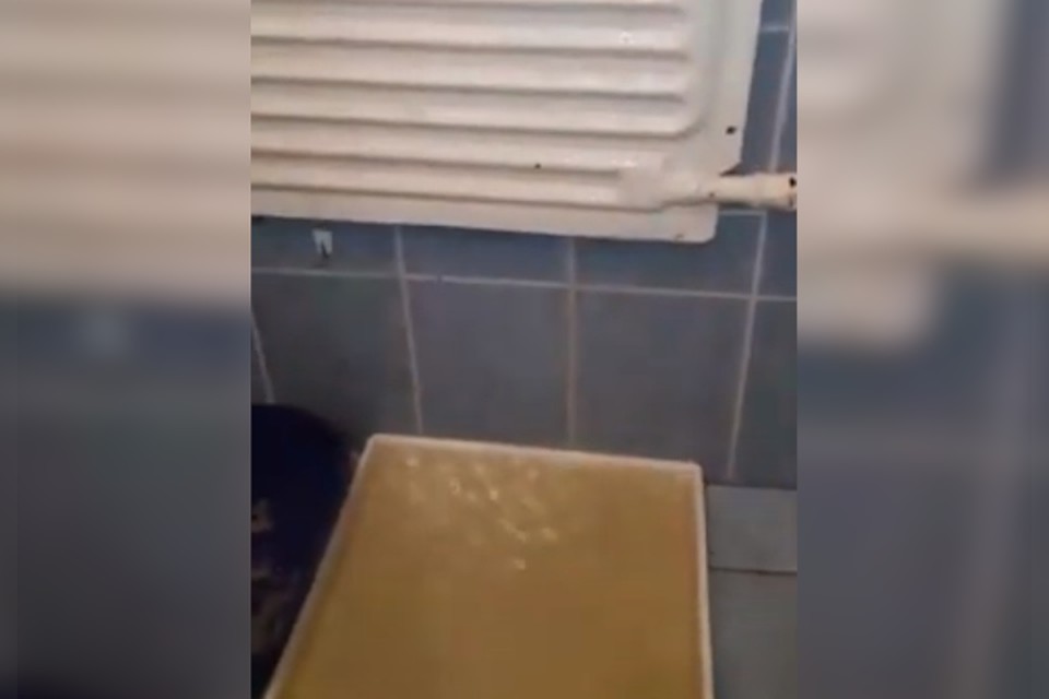 фото: скриншот видео