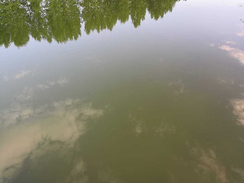 Студент из Острогожска убедился, как опасна вода.