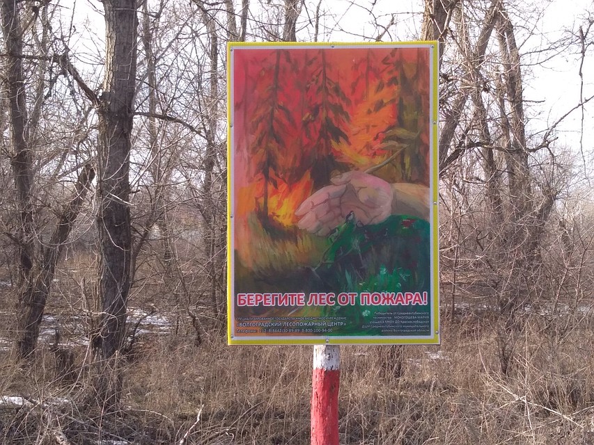 Фото: пресс-служба облкомприроды