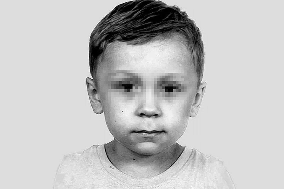 Полиция небольшого города Гродзиск-Мазовецкий, военные, волонтеры и местные жители более десяти дней искали 5-летнего гражданина России. Фото: Полиция Польши