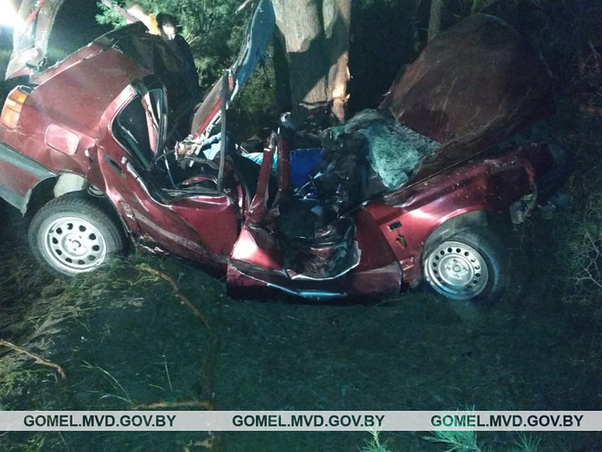 В Мозырском районе пьяный водитель врезался в дерево и погиб.