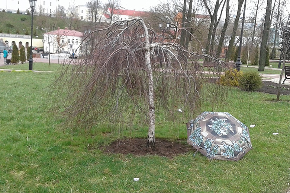 Еще пару мокрых дней - и снова можно будет загорать!
