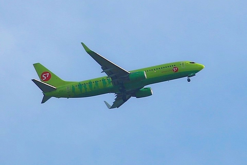 Чтобы посадить 1 миллион деревьев S7 Airlines решила вернуть свое историческое название – «Авиакомпания «Сибирь»