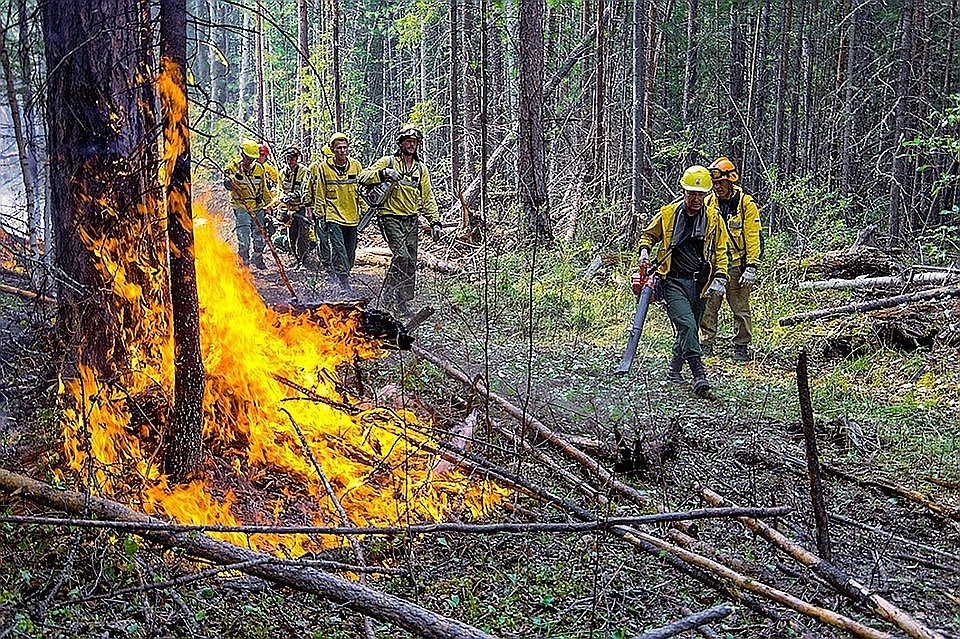 Фото: Федеральная Авиалесоохрана