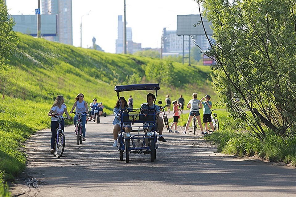 Туалеты, парковка и душевые. В Красноярске подвели итоги голосования по развитию островов