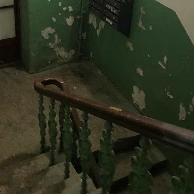 Фото: Михаил Развожаев
