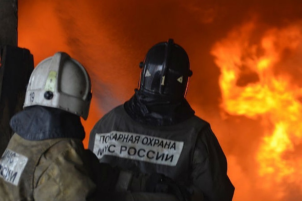 Правительство РФ выделит средства на проведение мероприятий по тушению лесных пожаров