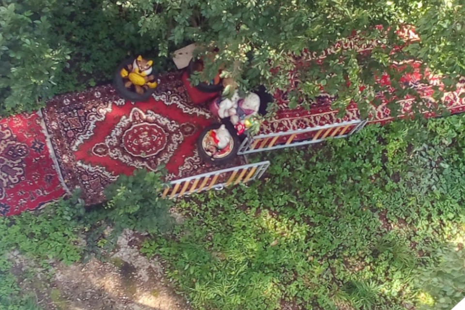 Тверская красная ковровая дорожка. Фото: группа "Подслушано Тверь": vk.com/tvery