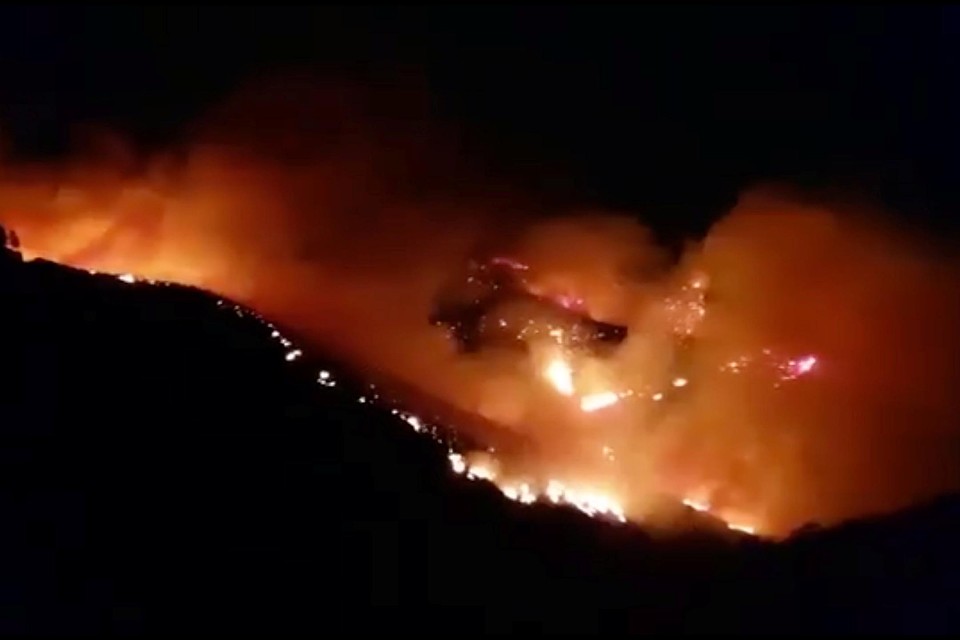 Пожар затронул тысячу гектаров