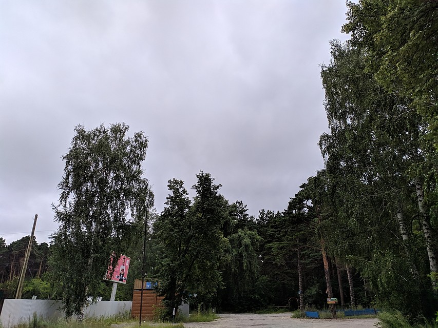 Ветер северный: в Тюмени будет тепло.