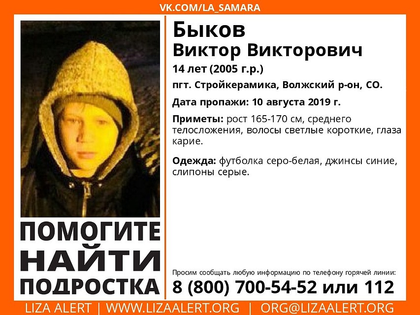 Фото: ДПСО "Лиза Алерт"