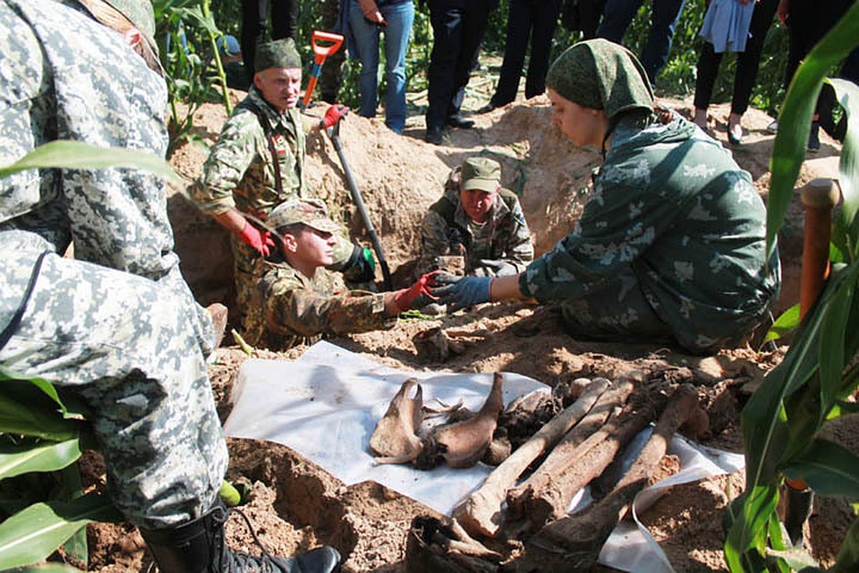 «При них были медали, медальоны и обрывки квитанций»: нижегородские поисковики нашли останки красноармейцев в Могилевской области. Фото: департамент внешних связей правительства Нижегородской области