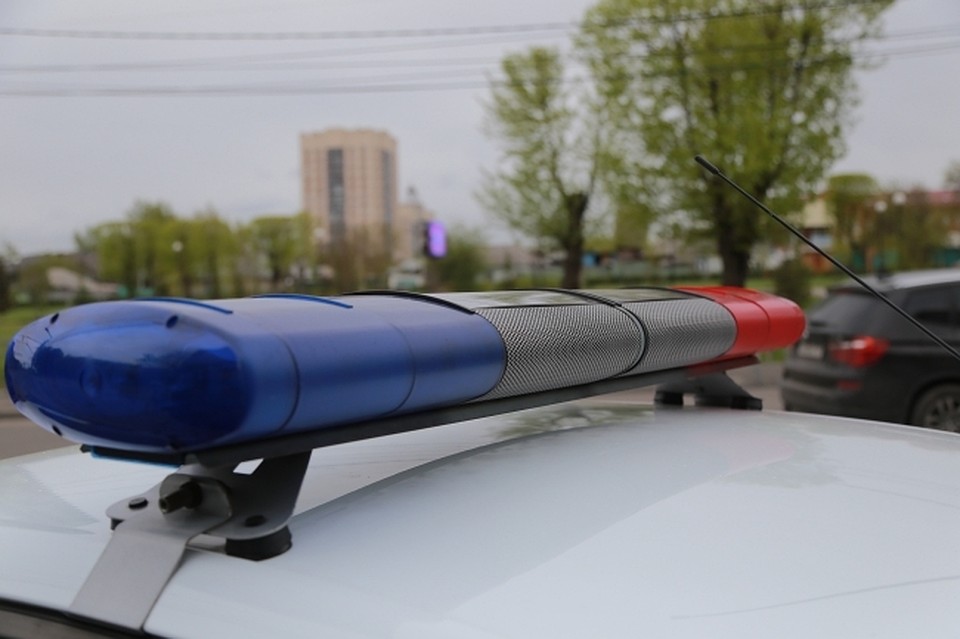 В ЕАО разыскивают очевидцев дорожной аварии в поселке Птичник