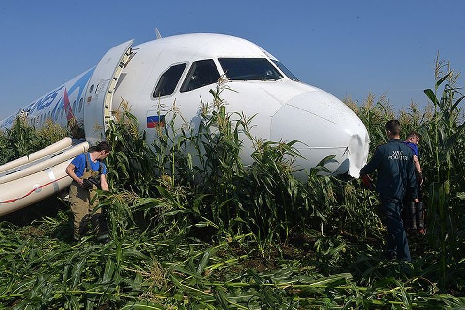 Борт А321 до сих пор стоит в кукурузном поле.