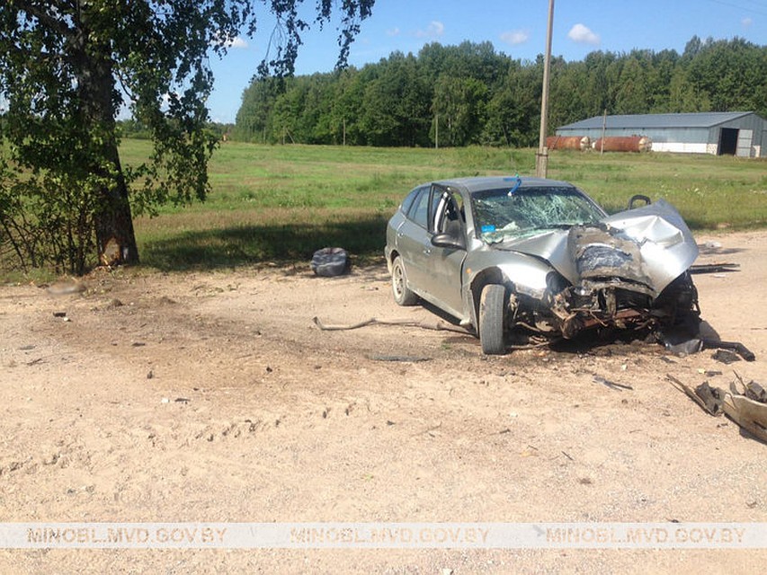 В Пуховичском районе авто влетело в дерево. Погибли два человека. Фото: УВД Миноблископлкома