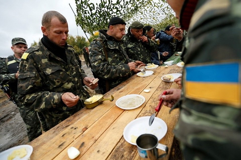 Тыловики ВСУ сейчас выясняют, откуда взялись ядовитые грибы на столе у «освободителей». Фото: newsrating.ru
