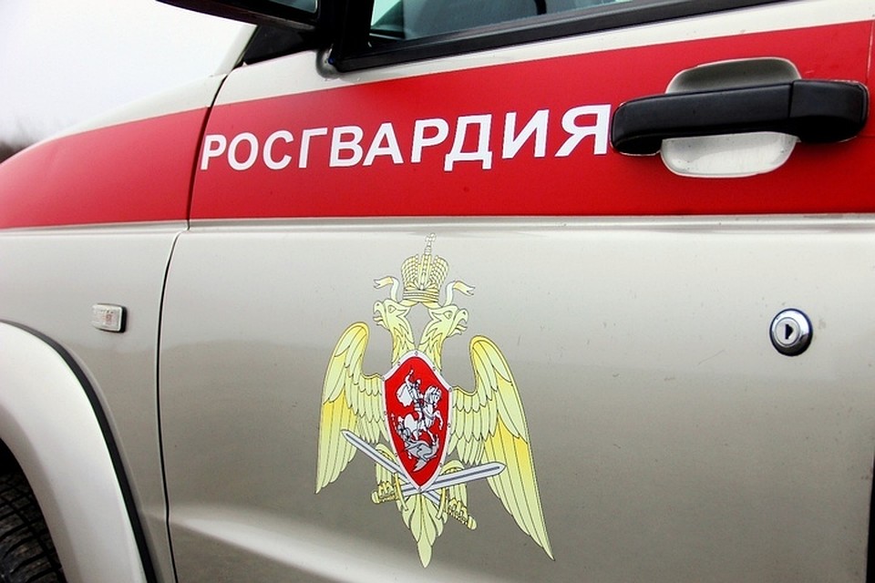 Фото: пресс-служба Главного управления Росгвардии по Краснодарскому краю
