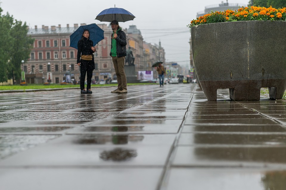 Погода 22 августа 2019 года в Петербурге будет дожливой.