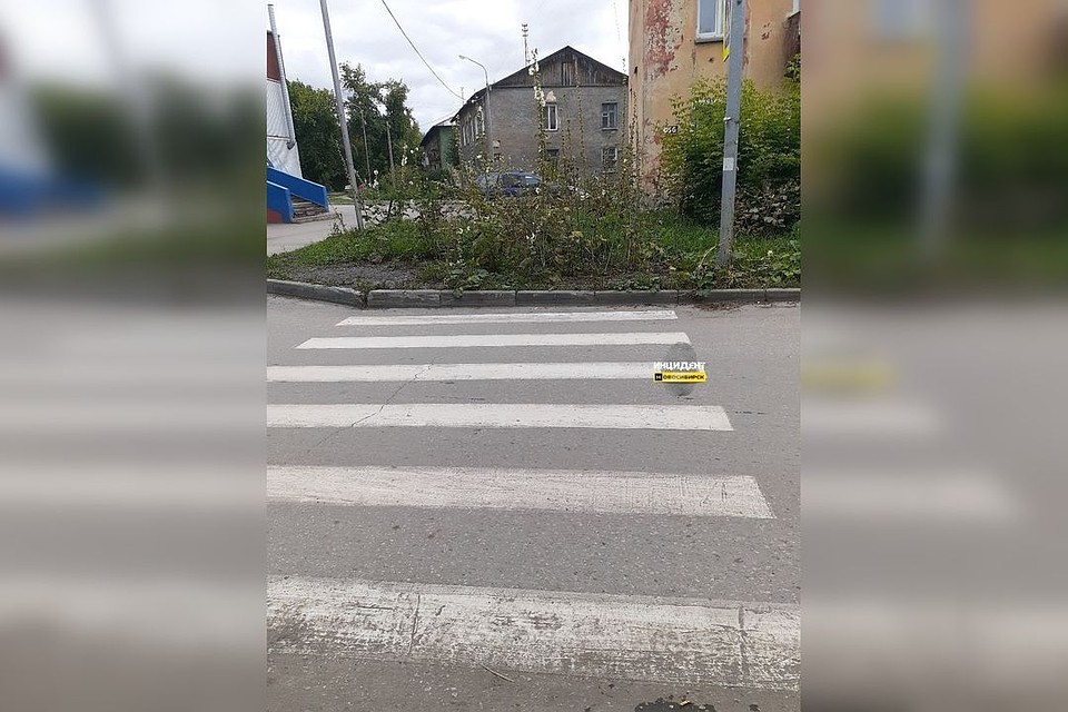 "Зебра" упирается в растущие возле дороги цветы. Фото: "Инцидент. Новосибирск".