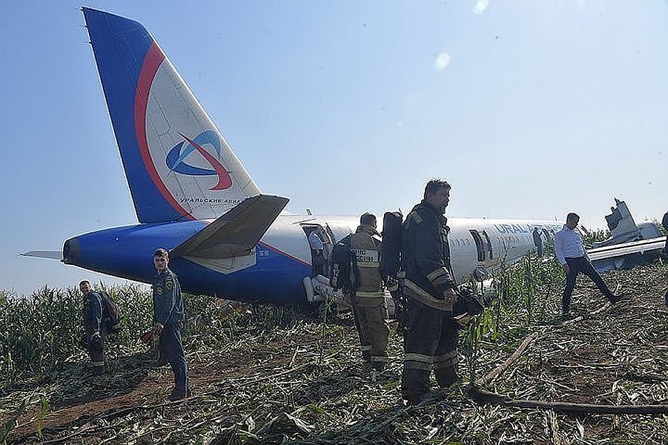 Записи с "черных ящиков" аварийного A 321 зафиксировали признаки столкновения самолета со стаей птиц
