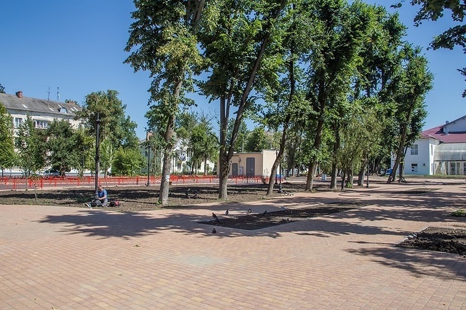 Фото: администрация Краснодара
