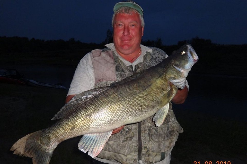 Новосибирец поймал 6-килограммового судака. Фото: fishingsib.ru.