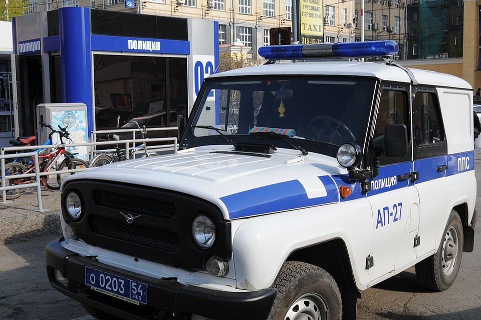 Полицейские проводят проверку по заявлению жительницы Первомайского района.