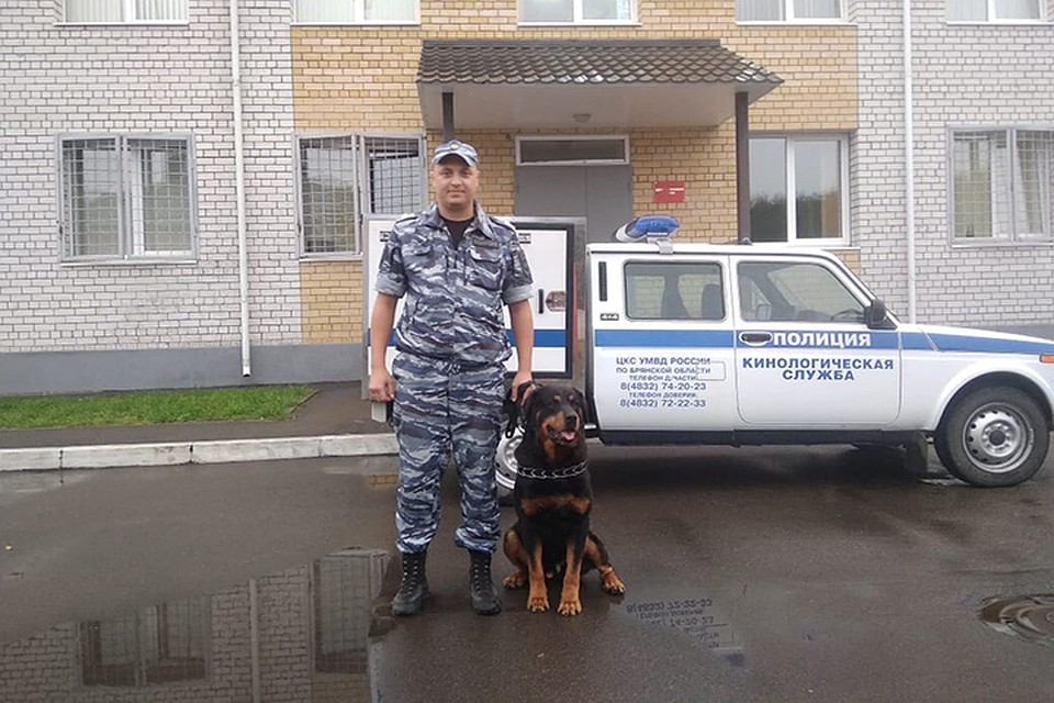 Полицейский вместе со своим четвероногим товарищем помогли задержать преступника.