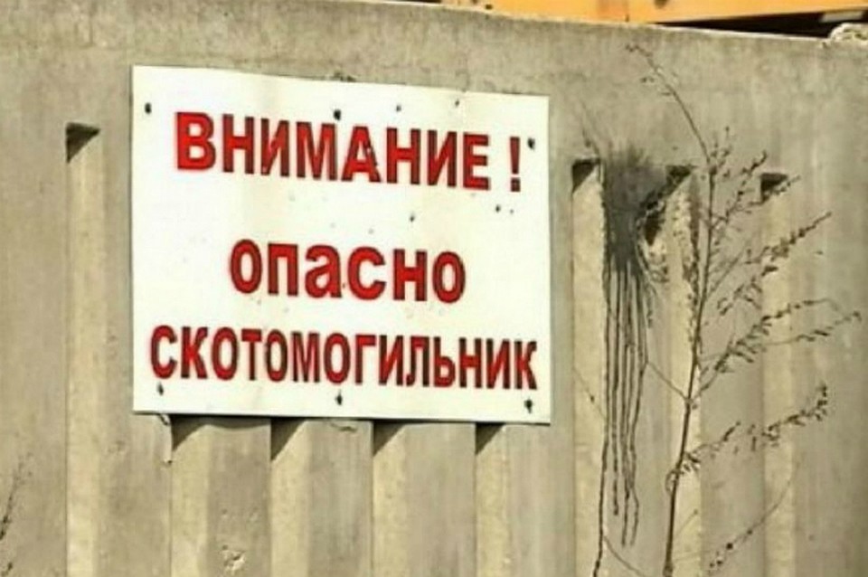Жителей Хабаровского края и ЕАО дезинформируют о размытых скотомогильниках