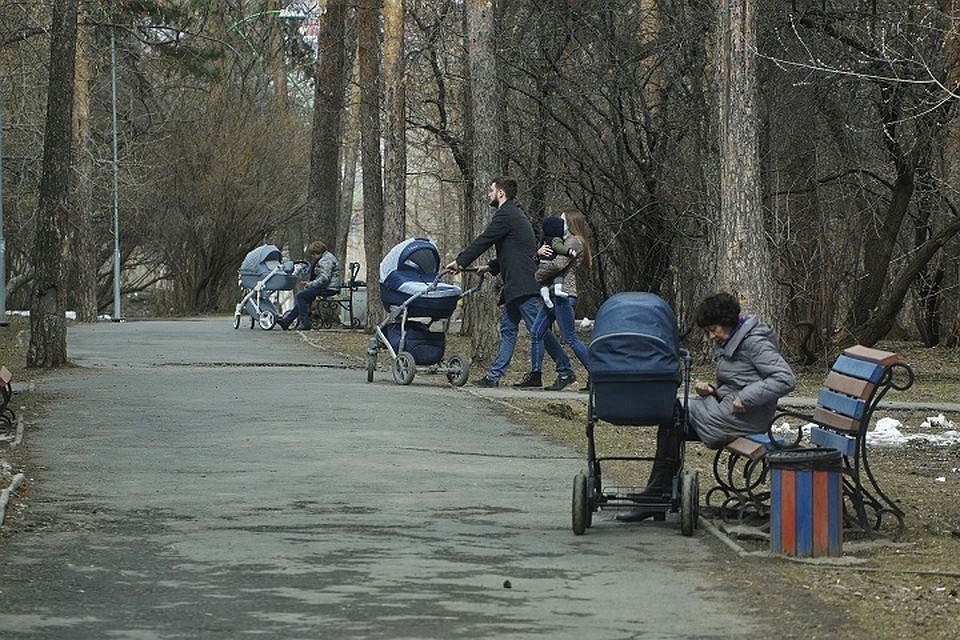 Во время строительных раскопок на территории Зеленой рощи обнаружили насыпной слой, который может оказаться старинным захоронением