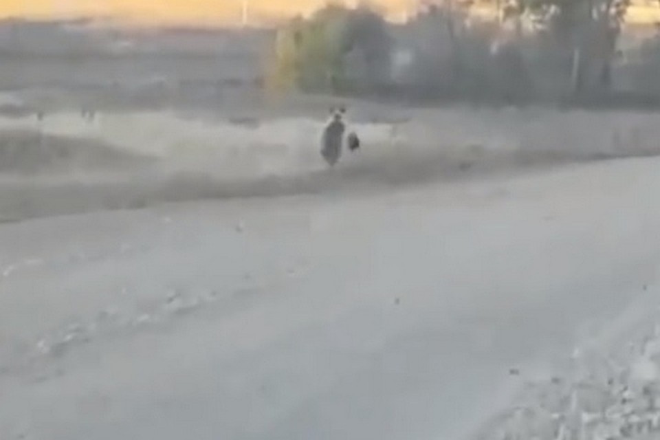 фото: скриншот видео // Instagram.com