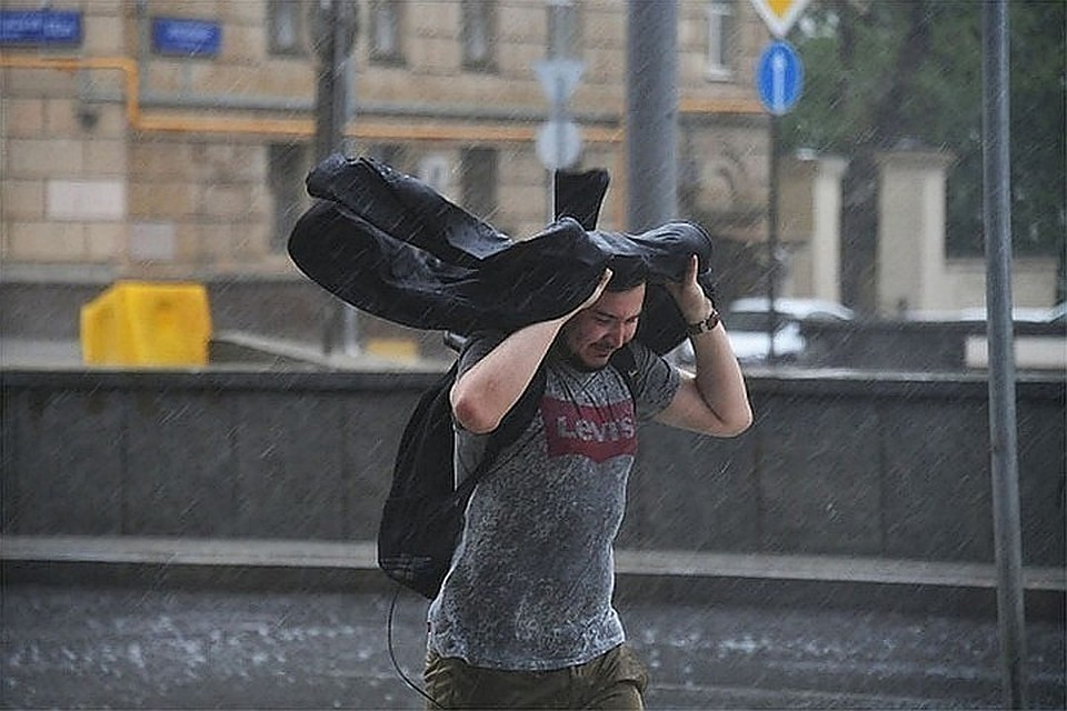 МЧС рекомендует во время ветра находиться дома