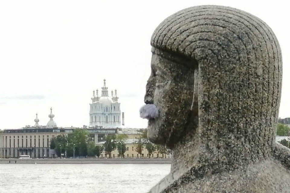 Сфинксы "отрастили усы" в честь нового губернатора Петербурга Беглова / Фото: Loketski.
