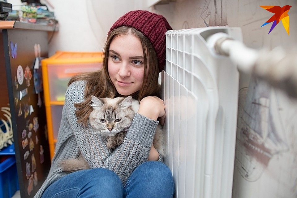 Тепло в жилфонд подается при среднесуточной температуре +8 °C и ниже в течение 5 суток